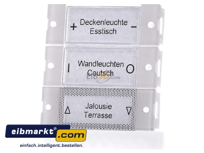 Frontansicht Gira 214203 Wippenset 2-fach rws/gl 
