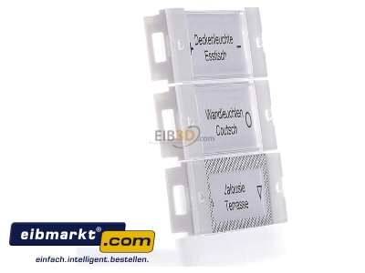 Ansicht links Gira 214203 Wippenset 2-fach rws/gl 