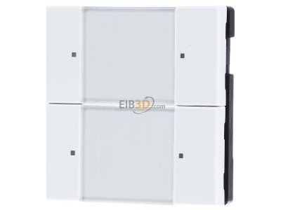 Frontansicht Busch Jaeger 6126/02-84 EIB, KNX Tastsensor 2/4fach Multifunktion, 