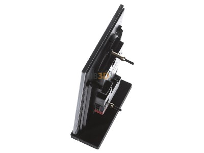 Ansicht oben rechts Berker 75142835 Glas-Sensor 2fach Glas 