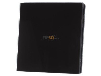 Frontansicht Berker 75161592 Tastsensor 1fach Glas schwarz 