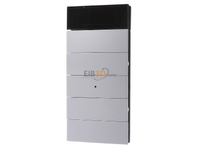 Front view Berker 75665594 EIB, KNX button panel, 
