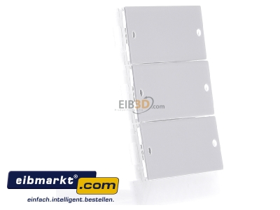 Ansicht links Gira 218303 Wippenset 3fach reinwei� 
