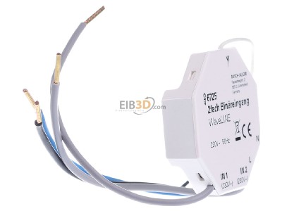 View on the left Busch Jaeger 6725 EIB, KNX remote control for switching device, 
