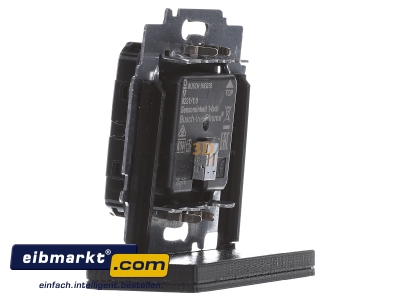 View on the right Busch-Jaeger 6221/1.0 Touch sensor for bus system 2-fold 

