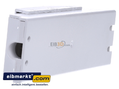 View on the right Eltako FSG71/1-10V Light control unit for bus system 1-ch
