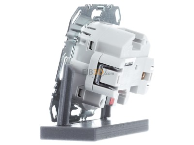 View on the right Berker 80040001 EIB, KNX bus coupler, 
