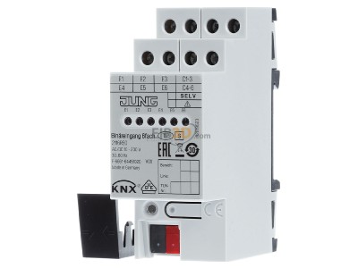 Front view Jung 2116 REG Binary input for home automation 6-ch 

