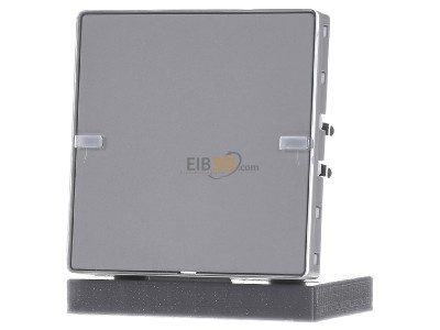 Front view Berker 80141321 EIB, KNX touch sensor 2-fold, 
