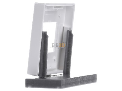 View on the right Busch Jaeger 6109/03-84 EIB, KNX plate, 
