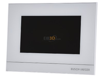 Front view Busch Jaeger 6226-611 Display for home automation flush 
