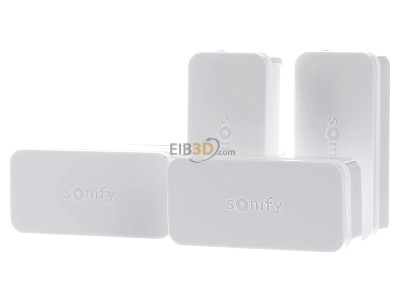 Front view Somfy 2401488 (VE5) Opening detector for intrusion detection 2401488 (quantity: 5)

