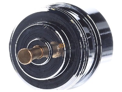 Frontansicht Busch Jaeger 6296/3 Ventiladapter Orkli Wireless 