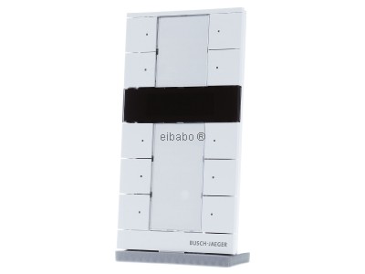 Front view Busch Jaeger SBR/U10.0.11-84 Room thermostat for bus system 

