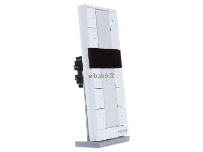 View on the left Busch Jaeger SBR/U10.0.11-84 Room thermostat for bus system 
