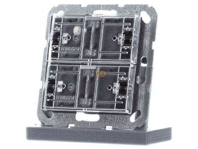 Frontansicht Gira 504200 Tastsensensor 4 Komfort 2-fach KNX 