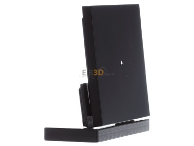 View on the left Busch Jaeger 6230-10-45M Touch rocker for bus system black 

