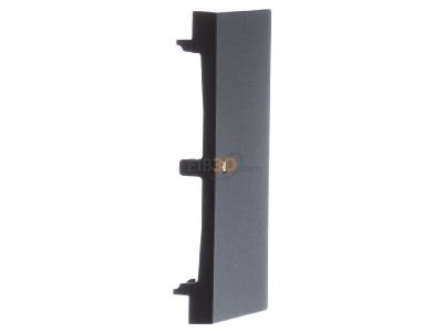 View on the left Busch Jaeger 6230-20-45M Touch rocker for bus system black 
