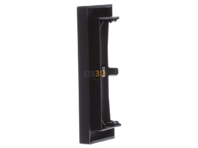 View on the right Busch Jaeger 6230-20-45M Touch rocker for bus system black 
