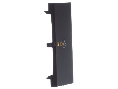View on the left Busch Jaeger 6231-21-45M Touch rocker for bus system black 
