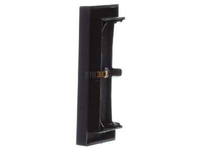 View on the right Busch Jaeger 6231-21-45M Touch rocker for bus system black 
