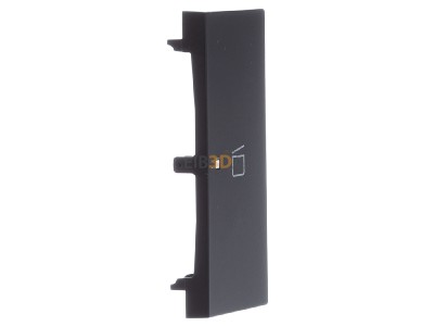 View on the left Busch Jaeger 6233-22-45M Touch rocker for bus system black 
