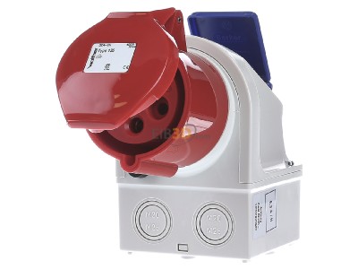 Frontansicht Walther 135 Mini-Kombi Wanddose 32A 5P400V6h+SCHUKO IP44 