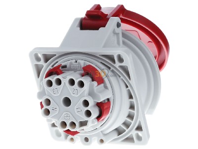 Ansicht hinten Mennekes 3171 Anbaudose TwinContact 32A,5p,6h,400V,IP44 