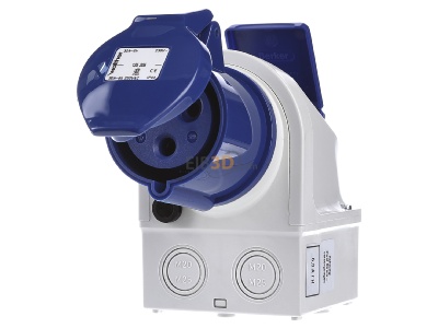 Frontansicht Walther 135306 Mini-Kombi Wanddose 32A 3P230V6h+SCHUKO IP44 