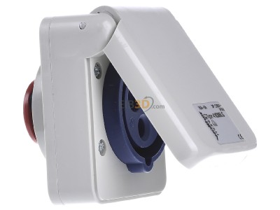 View on the left Walther 418306LG Architectural socket CEE 16A-socket 6h 
