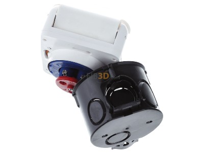 Ansicht oben hinten Walther 418306RW MONDO Wandsteckdose 16A 3P 230V 6h IP44 UP 