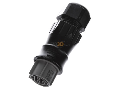 View up front Wieland RST25I3S B1 AZR3SV Connector plug-in installation 3x4mm 
