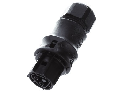 Ansicht oben vorne Wieland RST20 #96.021.0453.1 Buchsenteil I2F B23ZRW SW RST20 96.021.0453.1