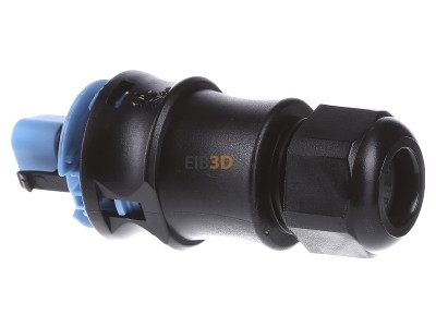 View on the right Wieland RST20 #96.032.0153.9 Connector plug-in installation 3x1,5mm RST20 96.032.0153.9
