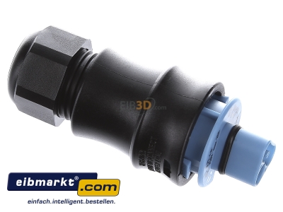 View top left Wieland 96.032.4153.9 Connector plug-in installation 3x4mm²

