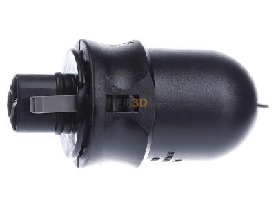 View on the right Wieland RST20 #96.034.4053.1 Connector plug-in installation 3x4mm RST20 96.034.4053.1
