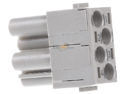 View on the left Harting 09 14 004 3141 Socket insert for connector 4p 
