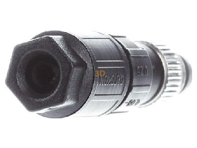Ansicht hinten Phoenix SACC-M 8MS-3QO-0,25M Sensorsteckverbinder St.,3p M8 gerade 