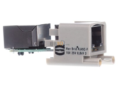 Ansicht links Harting 09 12 003 2774 Buchseneinsatz HanBrid-RJ45 C-F WDF 