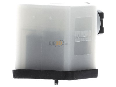 Ansicht rechts Murrelektronik 7000-29165-0000000 Ventilstecker SVS Eco BF A 18mm 