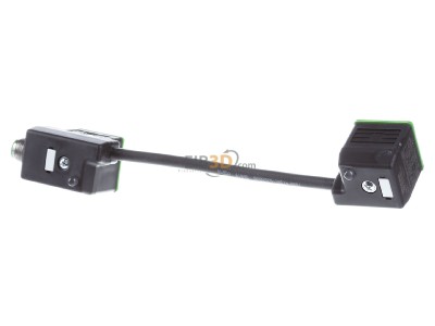 Ansicht hinten Murrelektronik 7000-41581-6360000 Steckverbinder M12 SthinAkodMSUDDVS 