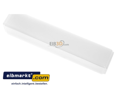Ansicht oben hinten RZB Zimmermann 05-40120 Ersatzglas fr L315/355mm 