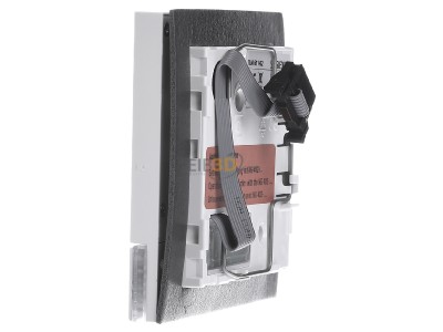 View on the right Siedle TLM 611-02 W Audio module for door station White 
