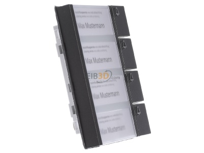 View on the left Siedle BTM 650-04 DG Ring module for door station Grey 
