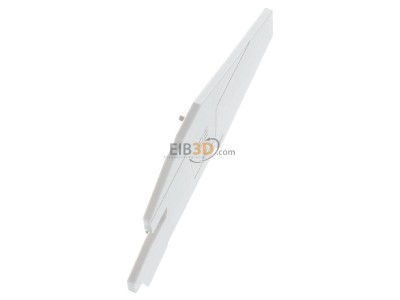 View top left Weidmller AEP ITB 4 BB End/partition plate for terminal block 
