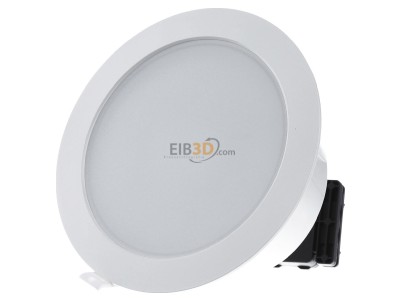Front view Steinel RS PRO DL 150 SC Downlight/spot/floodlight 
