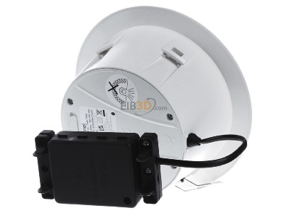 Back view Steinel RS PRO DL 150 SC Downlight/spot/floodlight 
