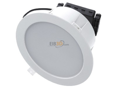 View up front Steinel RS PRO DL 150 SC Downlight/spot/floodlight 
