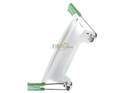 View top right Signify PLS RS155Z CFR #94111399 Downlight/spot/floodlight RS155Z CFR 94111399
