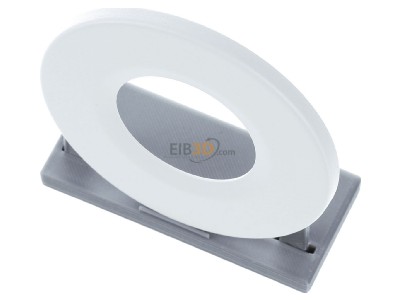 View up front Dotlux 5211 Decor element for luminaires - Decorative ring round white matt, 
